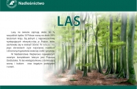 las-puszcza1